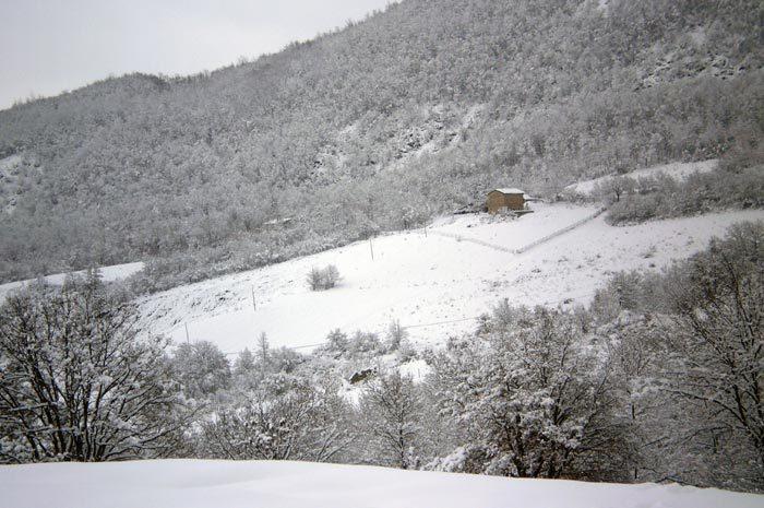 Agriturismo I Fondacci Grizzana Exterior foto