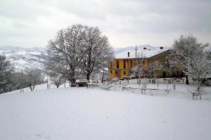 Agriturismo I Fondacci Grizzana Exterior foto