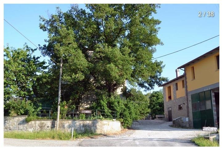 Agriturismo I Fondacci Grizzana Exterior foto